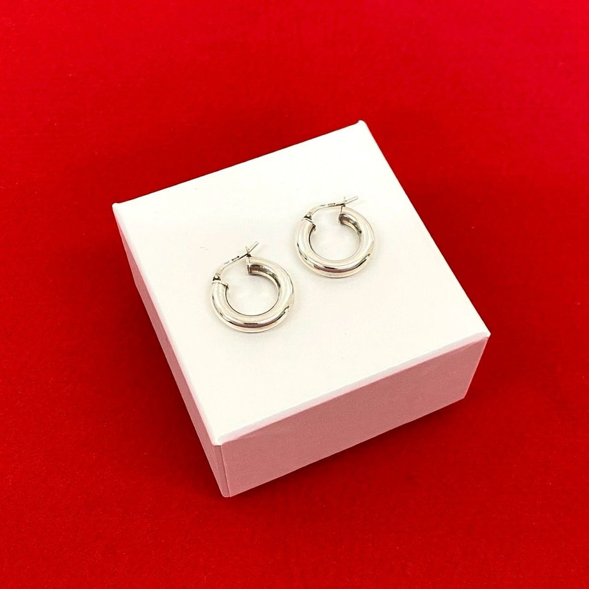 Bottega Veneta Hoop Earrings Silver