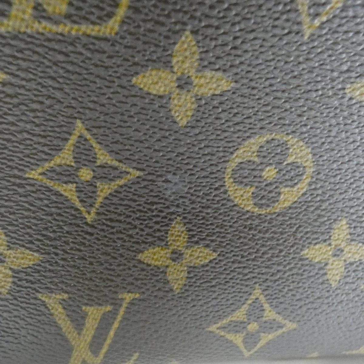 Louis Vuitton Monogram Viva-Cite PM Shoulder Bag — view 4