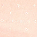Louis Vuitton Echarpe LV Stella Monogram Scarf with Fringe — view 6