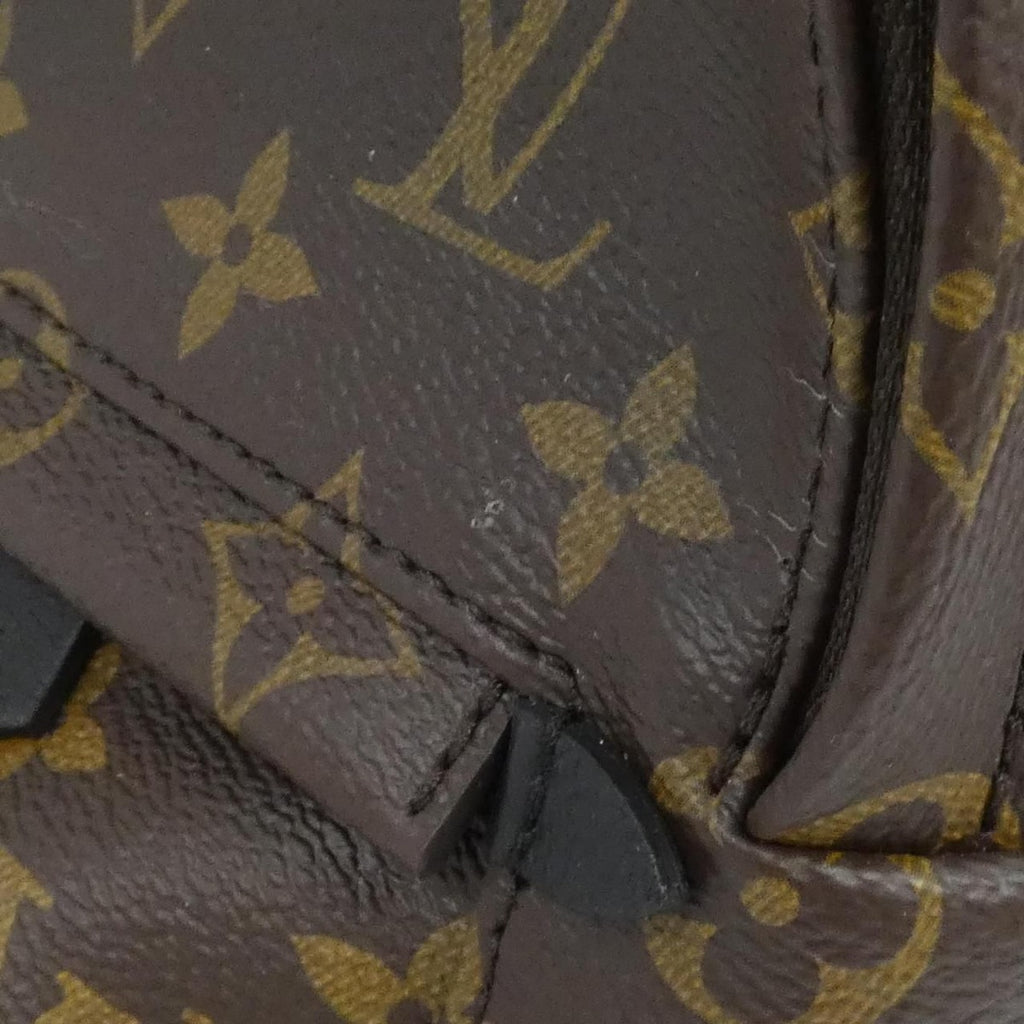Louis Vuitton Monogram Palm Springs Backpack Mini Sac — view 4