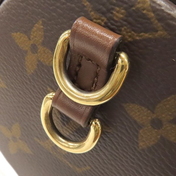 Louis Vuitton 2-Way Bag Papillon Trunk Monogram Canvas Gold Hardware — view 8
