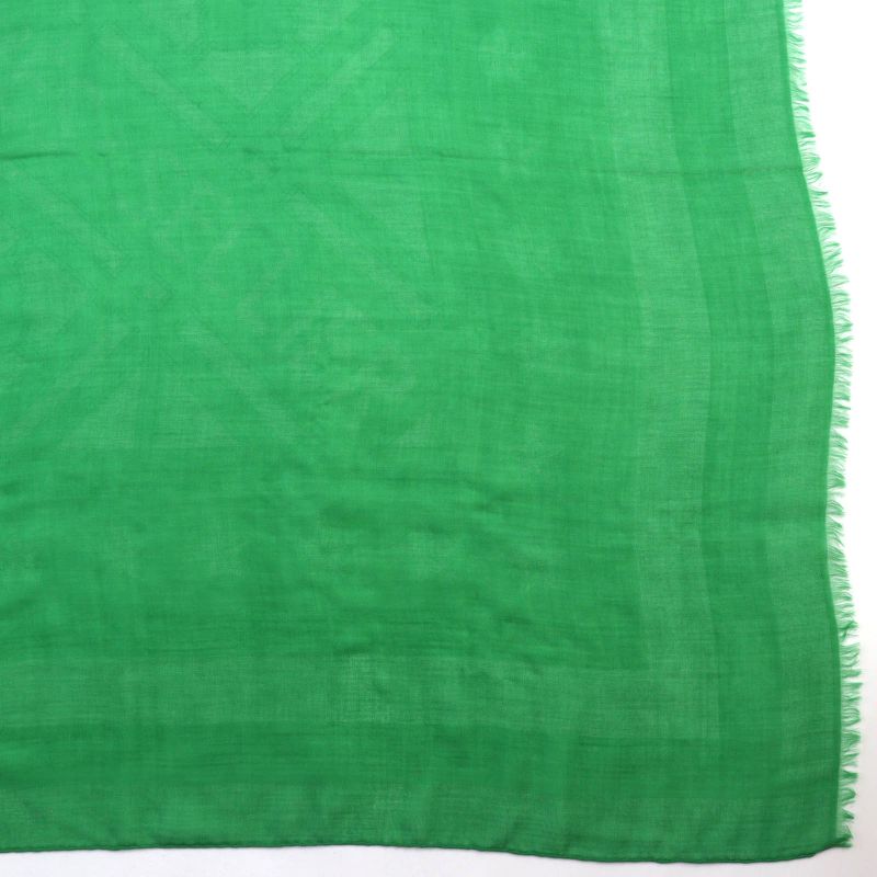 Hermes Sellier Cashmere Silk Fringe Large Shawl Scarf Green — view 5