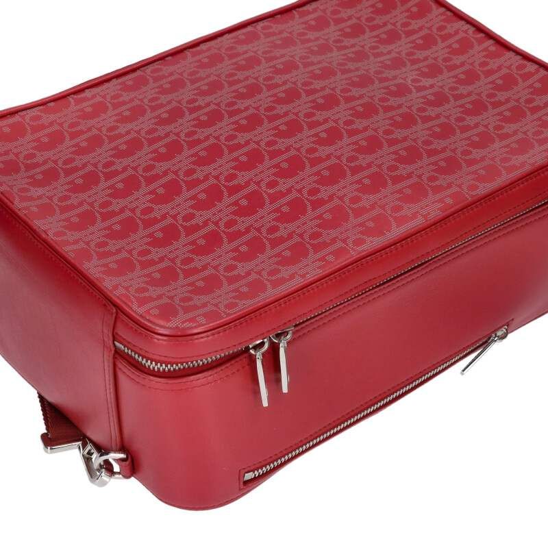 Dior World Tour Oblique All Over Leather Handbag — view 5