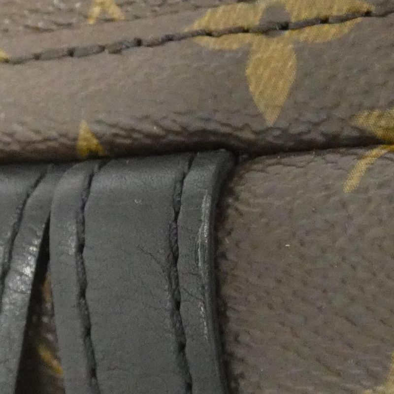 Louis Vuitton Monogram Palm Springs Backpack PM — view 4