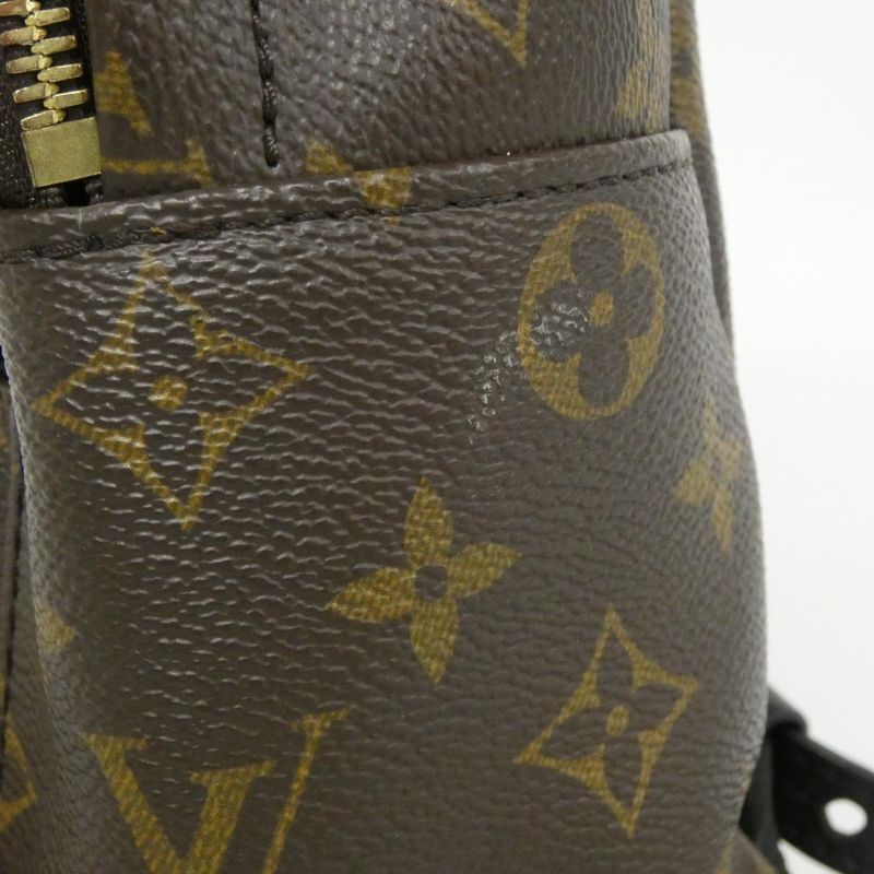 Louis Vuitton Monogram Palm Springs Backpack PM — view 6