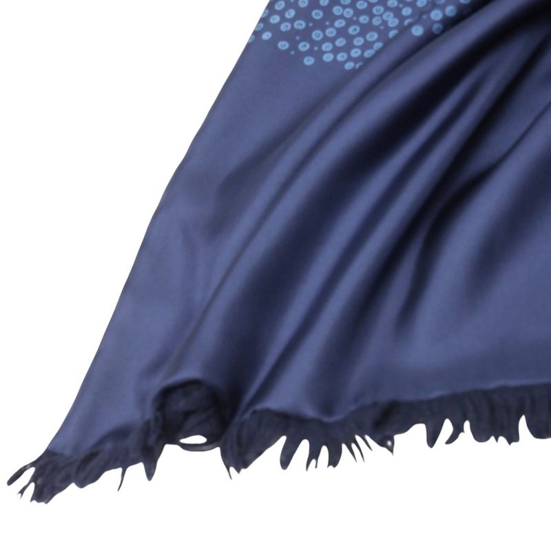 Hermes Scarf Silk and Angora Dotted Fringe Shawl — view 3