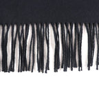 Prada 2023 1 Fs047 Silk Cashmere Blend Fringe Scarf with Triangle Logo Plate — view 5