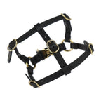 Gucci Dog Harness Other Sundries Leather Black Gold Hardware Pet — view 4