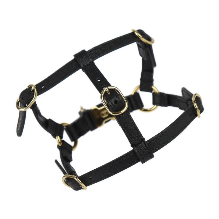 Gucci Dog Harness Other Sundries Leather Black Gold Hardware Pet — view 4