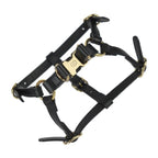 Gucci Dog Harness Other Sundries Leather Black Gold Hardware Pet — view 3