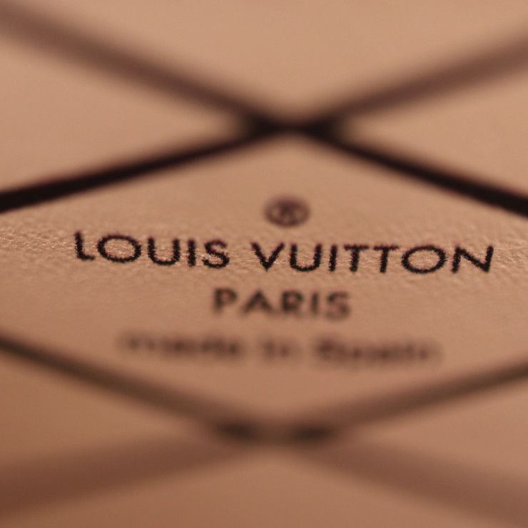 Louis Vuitton Pochette Trunk Vertical Shoulder Bag Leather Calf — view 8