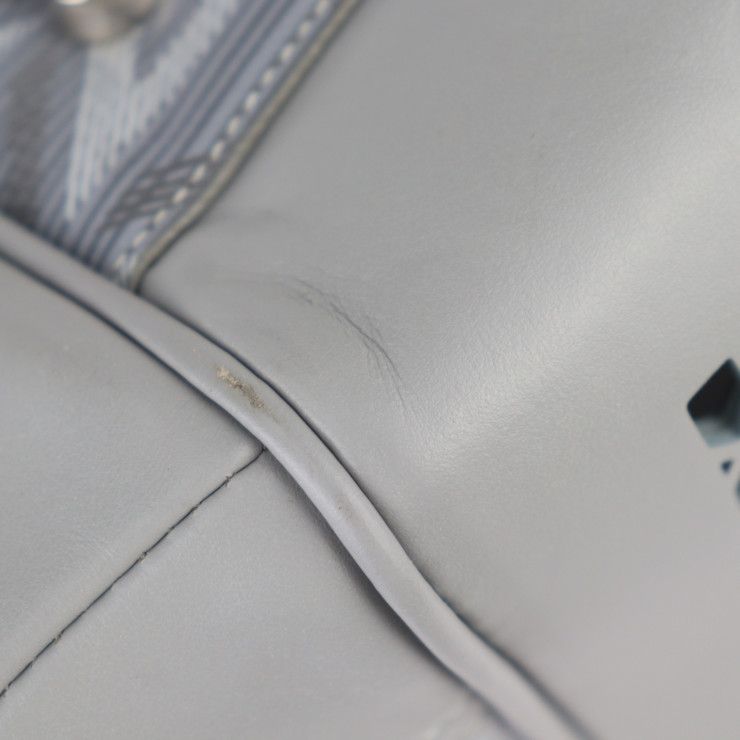 Dior Hit The Road Pet Carry Bag Boston 1 Cdp h42 E Leather Gray — view 7