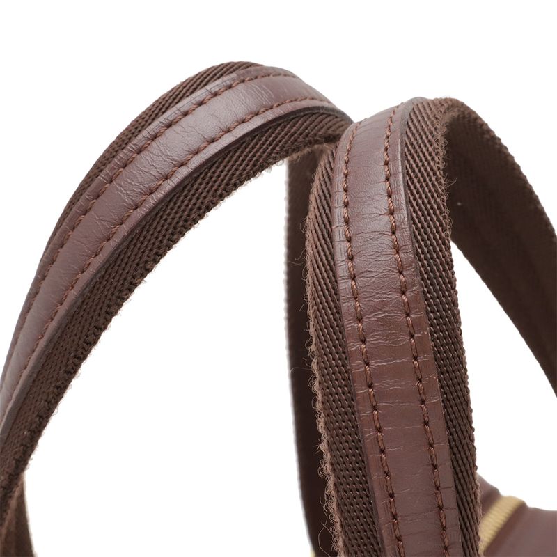 Louis Vuitton Monogram Mini Josephine PM Handbag Boston Canvas Leather — view 8
