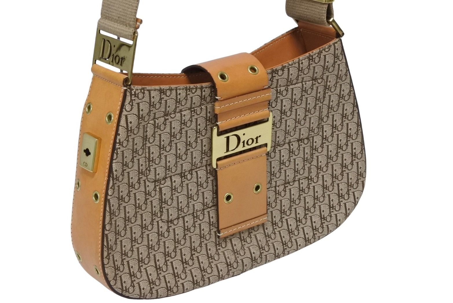 Dior Bag Street Chic Trotter Line Beige Brown Gold — view 4