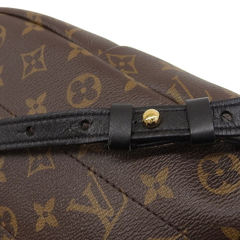 Louis Vuitton Monogram Palm Springs Backpack Rucksack Daypack — view 6