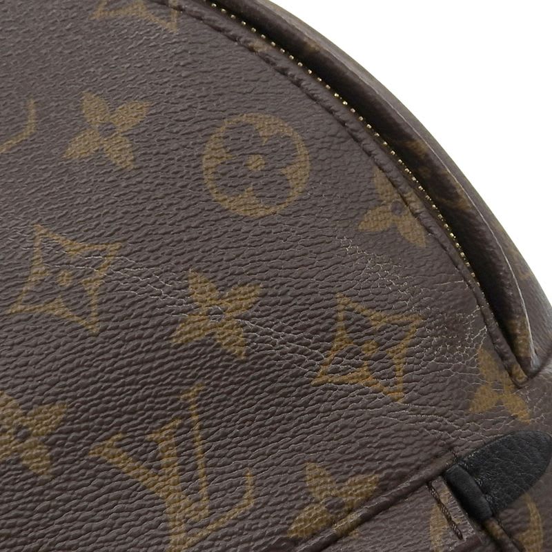 Louis Vuitton Monogram Palm Springs Backpack Rucksack Daypack — view 4