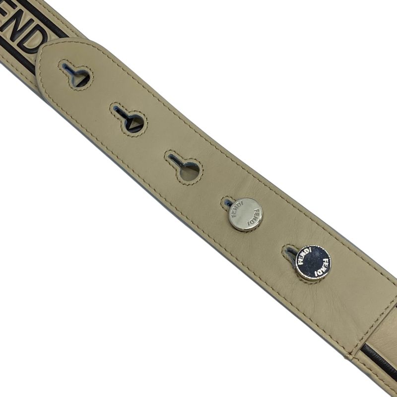 Fendi Long Strap You Shoulder Accessory ROMA Logo Leather Silver Beige — view 8