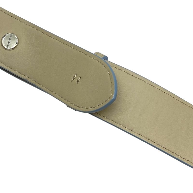 Fendi Long Strap You Shoulder Accessory ROMA Logo Leather Silver Beige — view 7