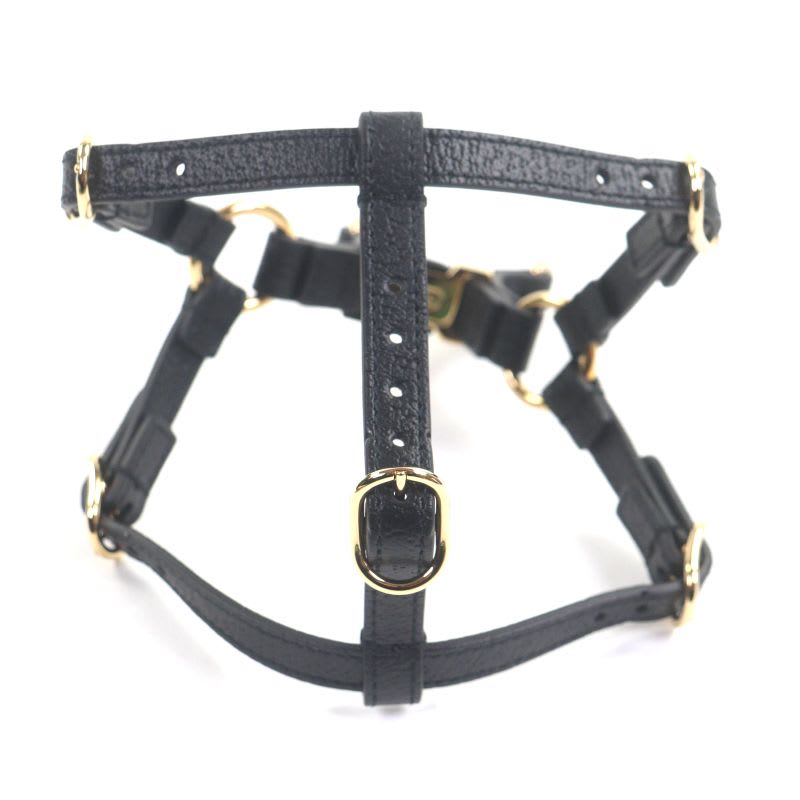 Gucci Leather Interlocking G Dog Torso Harness Black Gold Hardware XS — view 4