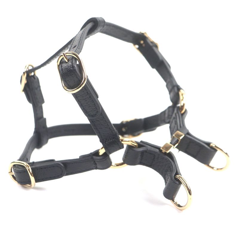 Gucci Leather Interlocking G Dog Torso Harness Black Gold Hardware XS — view 3