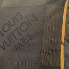 Louis Vuitton Damier Geant Companion Shoulder Bag Crossbody Tail — view 8