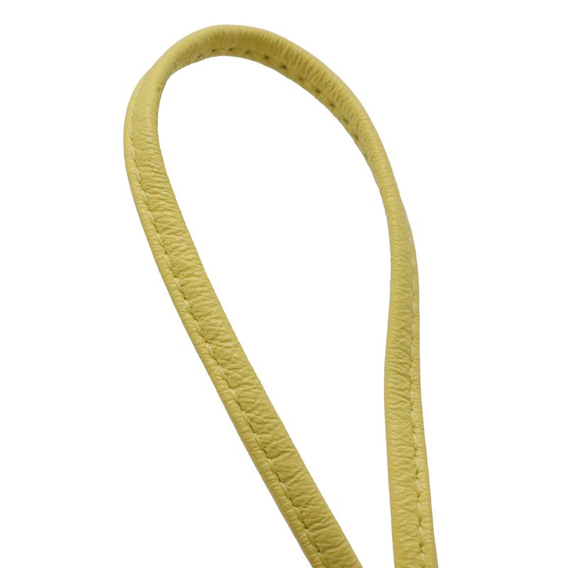 Bottega Veneta The Pouch Coin Case Purse Key Leather Yellow — view 5