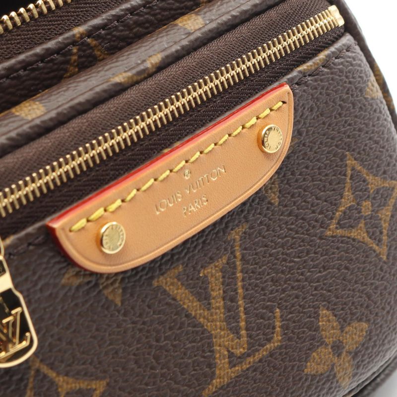 Louis Vuitton Handbag Mini Bum Bag Leather — view 6