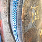 Louis Vuitton Monogram Celty Palm Springs Backpack — view 5