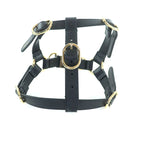 Gucci Leather Interlocking G Dog Torso Harness Black Gold Hardware S Box — view 4