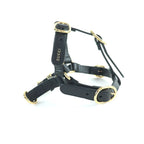 Gucci Leather Interlocking G Dog Torso Harness Black Gold Hardware S Box — view 3