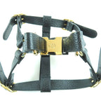 Gucci Leather Interlocking G Dog Torso Harness Black Gold Hardware S Box — view 6