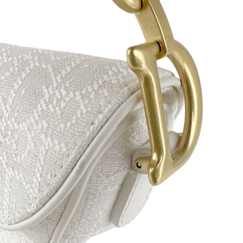 Christian Dior Handbag Saddle