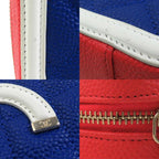 Chanel Crossbody Bag CC Figly Mini