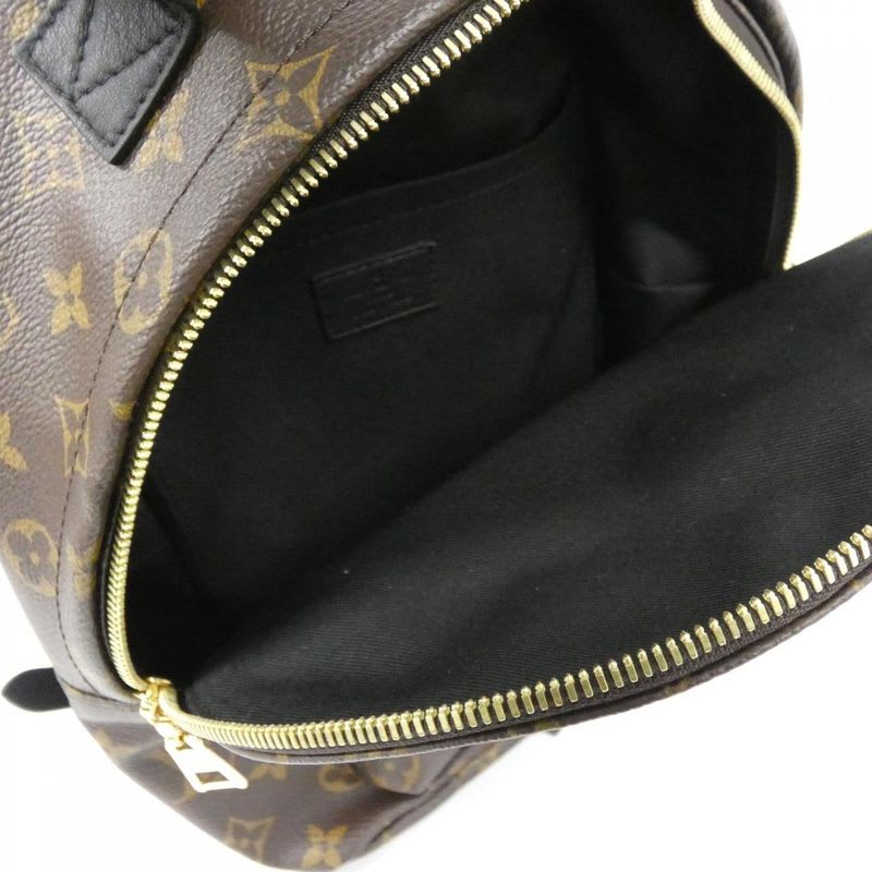 Louis Vuitton Monogram Palm Springs Backpack PM Rucksack Sac — view 8