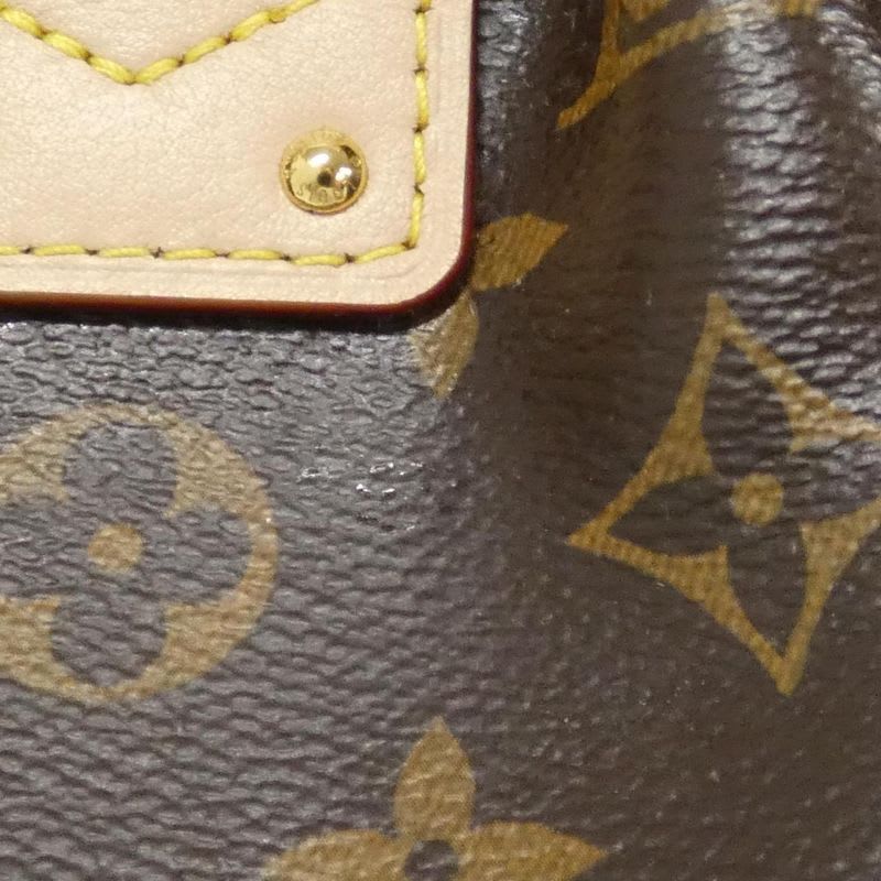 Louis Vuitton Monogram Clutch Bag