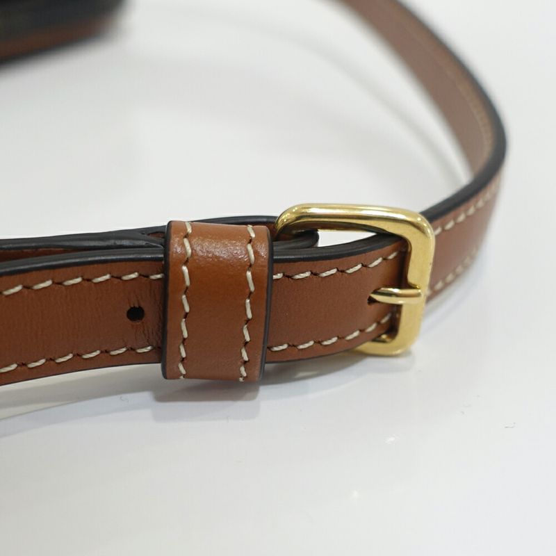 Celine Camera Bag Shoulder Triomphe Canvas Brown Multicolo — view 8