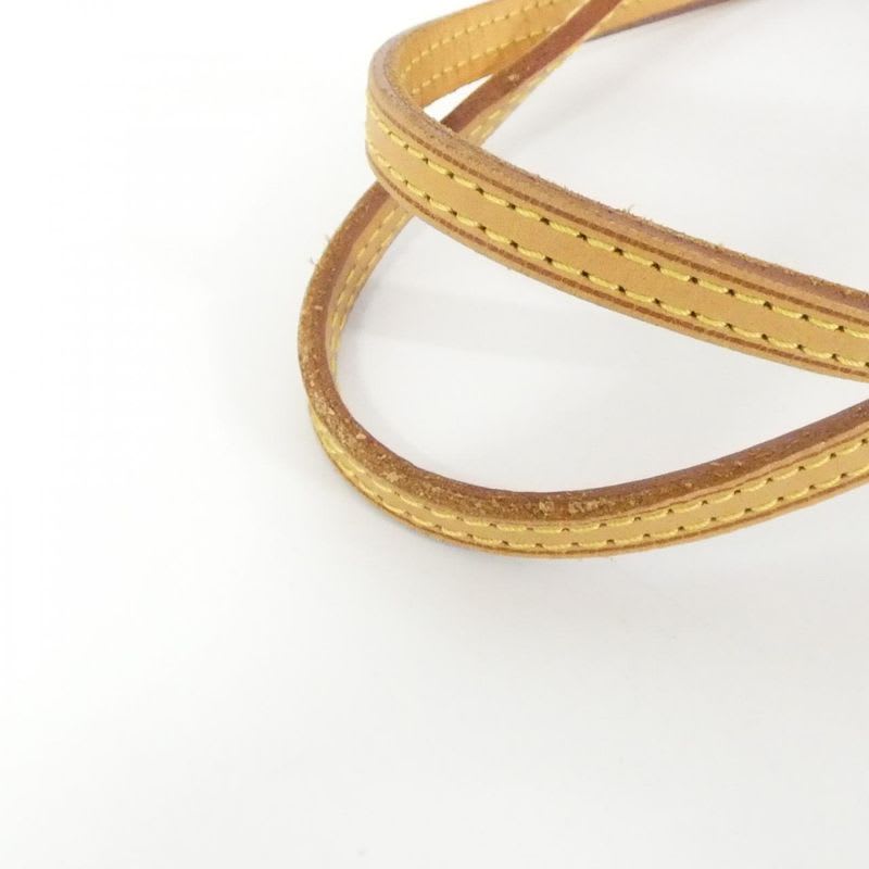 Louis Vuitton Monogram Hand Neverfull PM Bag