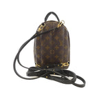 Louis Vuitton Monogram Palm Springs Backpack Mini Rucksack Sac — view 3