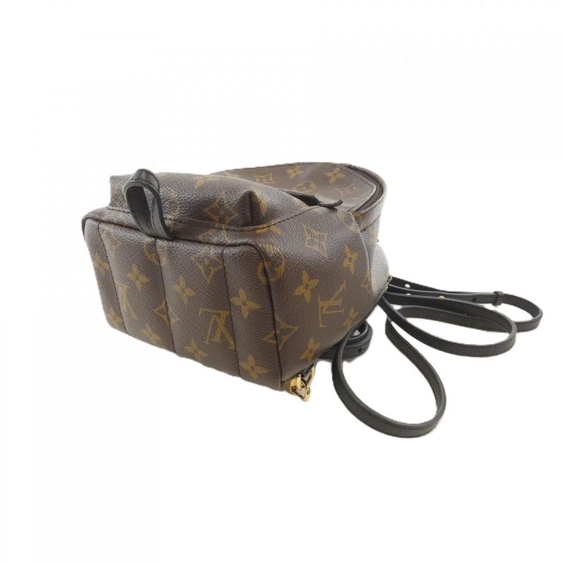 Louis Vuitton Monogram Palm Springs Backpack Mini Rucksack Sac — view 4