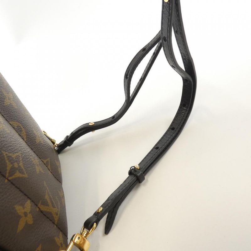 Louis Vuitton Monogram Palm Springs Backpack Mini Rucksack Sac — view 7