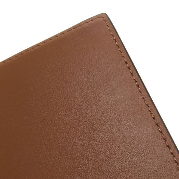 Celine Passport Cover Triomphe Canvas 4 M3432 Ak1.04 bt — view 5