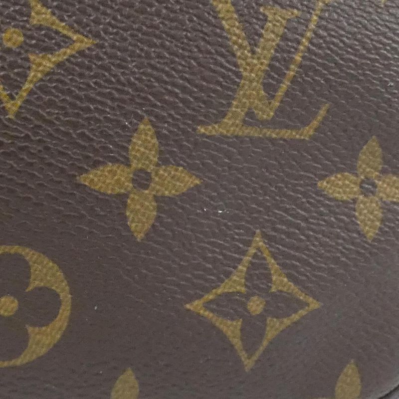 Louis Vuitton Monogram Mini Pochette Accessory Pouch