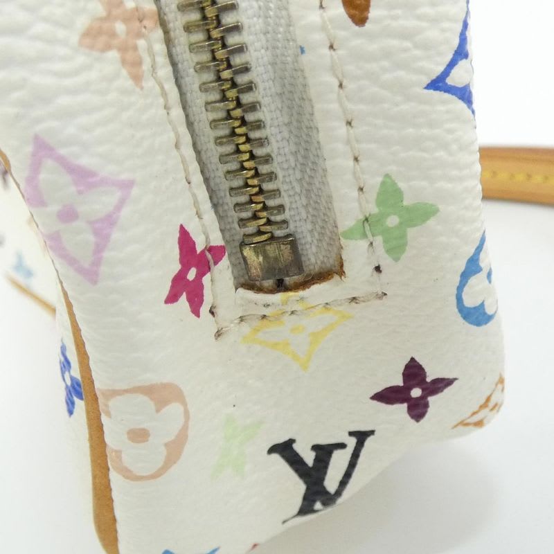 Louis Vuitton Multicolor Wapiti Pouch — view 5