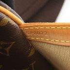 Louis Vuitton Shoulder Bag Reporter PM Leather