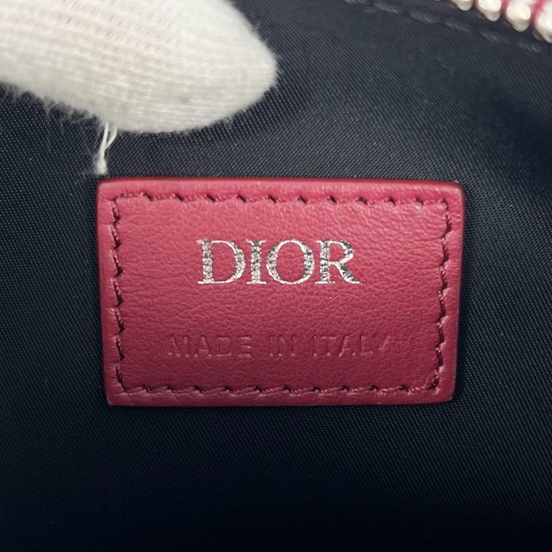 Dior Body Bag Oblique Galaxy Shoulder World Tour Saddle — view 6