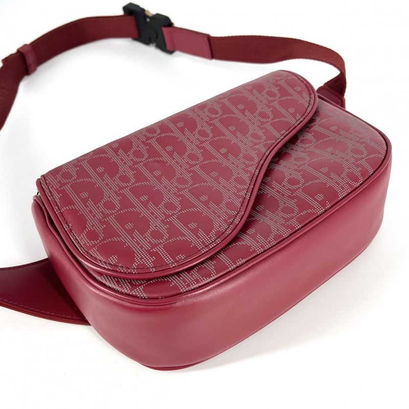 Dior Body Bag Oblique Galaxy Shoulder World Tour Saddle — view 4