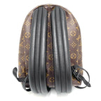Louis Vuitton Backpack Monogram Palm Springs PM Brown