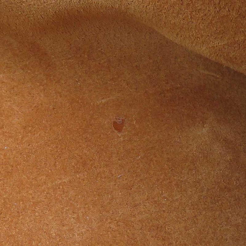 Louis Vuitton Shoulder Bag Lowkey Hobo PM