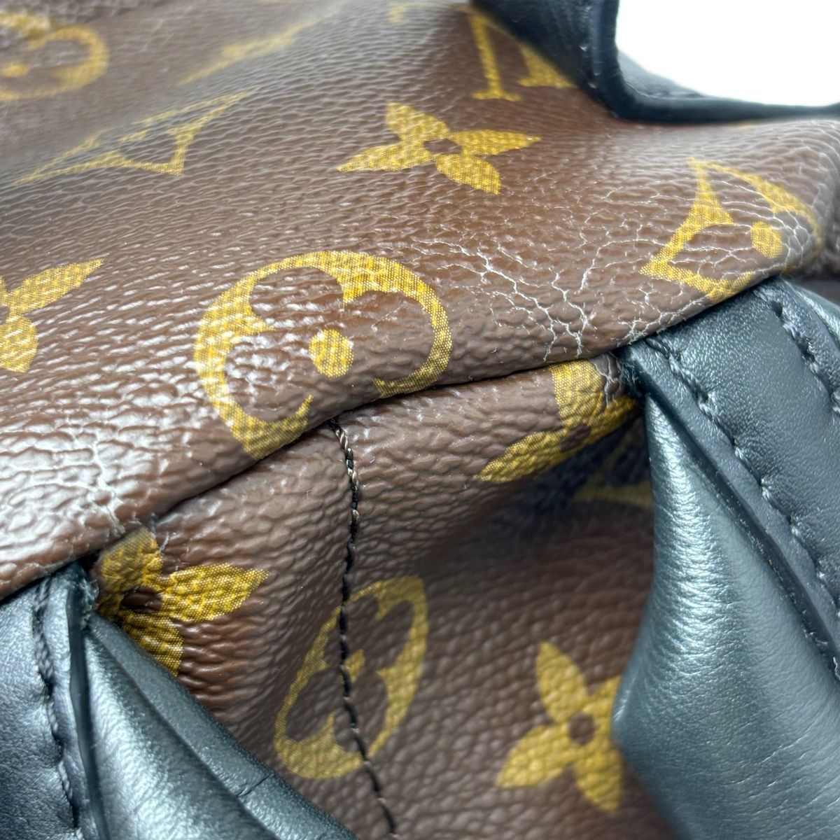 Louis Vuitton Backpack Monogram Palm Springs PM — view 8