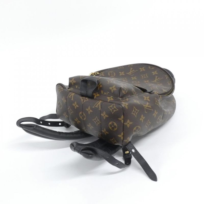 Louis Vuitton Monogram Palm Springs Backpack PM Rucksack Sac — view 4